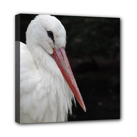 Stork Bird Mini Canvas 8  X 8 