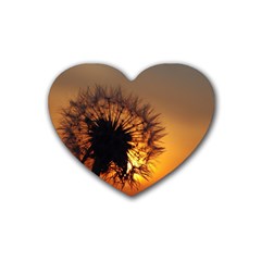 Dandelion Drink Coasters (heart)
