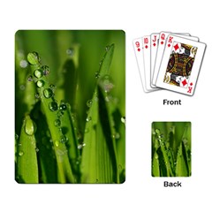 Grass Drops Playing Cards Single Design