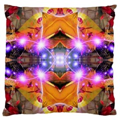Abstract Flower Large Cushion Case (single Sided) 
