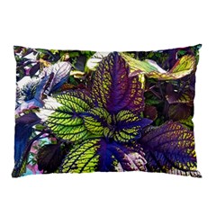 Dark Coleus Pillow Case