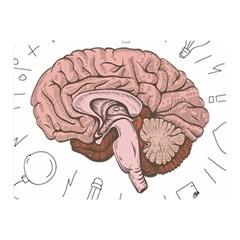 Cerebrum Human Structure Cartoon Human Brain Double Sided Flano Blanket (mini) 