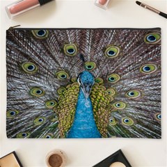 Peacock-feathers2 Cosmetic Bag (xxxl)